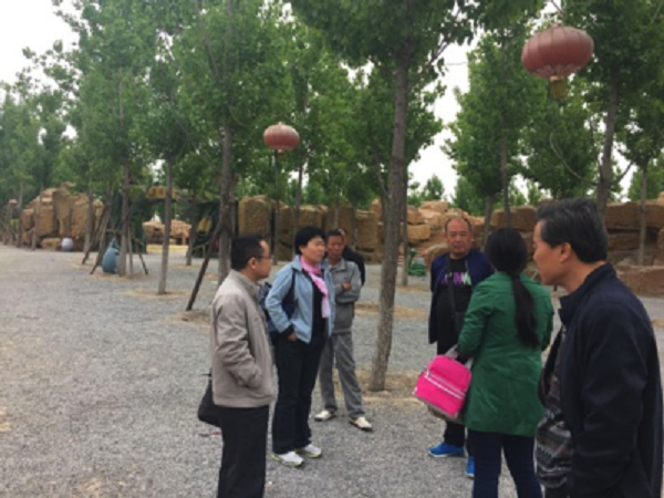 1504936333656965.png 1494412980131624.png