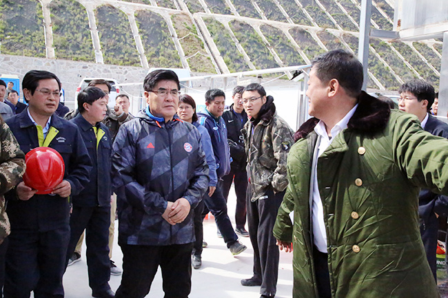 1507703218352517.jpg 193746537.jpg