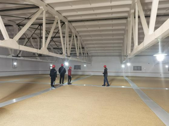 1639447270696768.png 1639447270696768.png